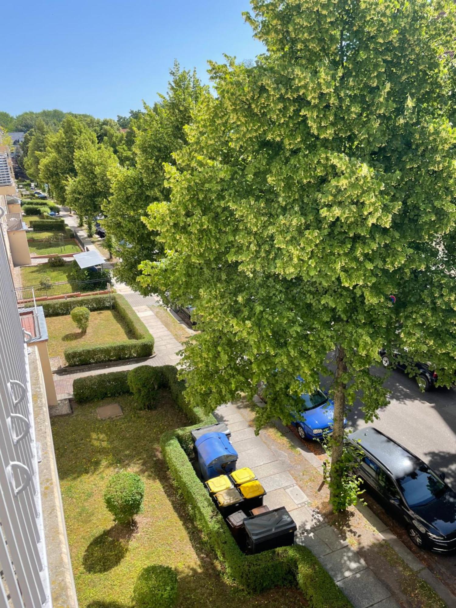 Ruhige Maisonettewohnung Auf Dem Kassberg Chemnitz Exterior photo